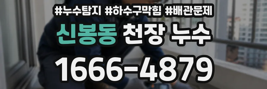 신봉동 천장 누수