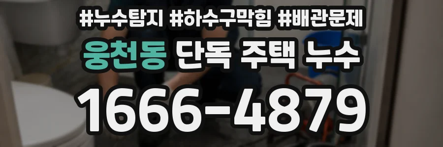 웅천동 단독 주택 누수