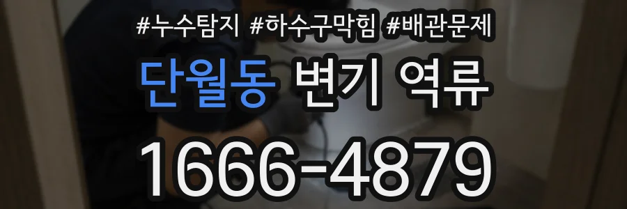 단월동 변기 역류