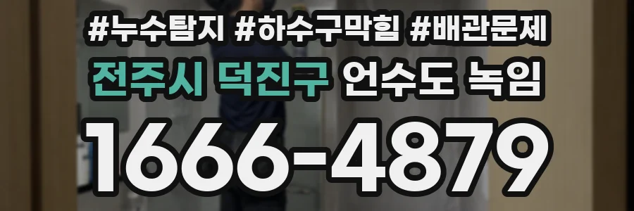 전주시 덕진구 언수도 녹임