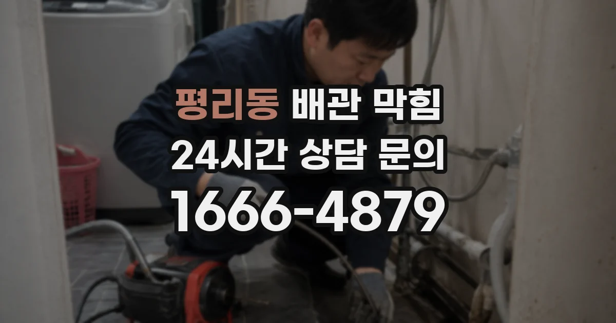 평리동 배관 막힘