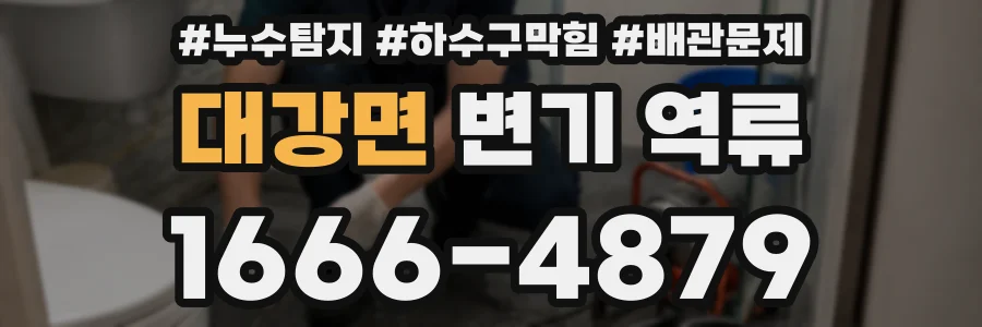 대강면 변기 역류