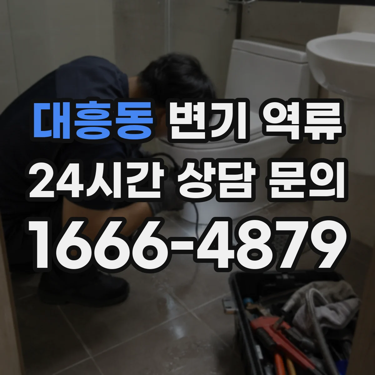 대흥동 변기 역류