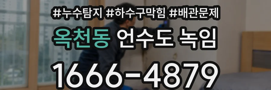 옥천동 언수도 녹임