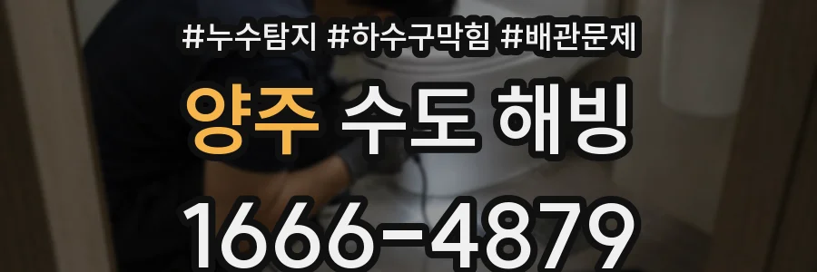 양주 수도 해빙