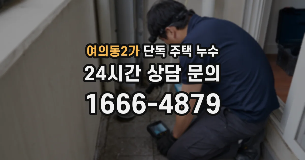 여의동2가 단독 주택 누수