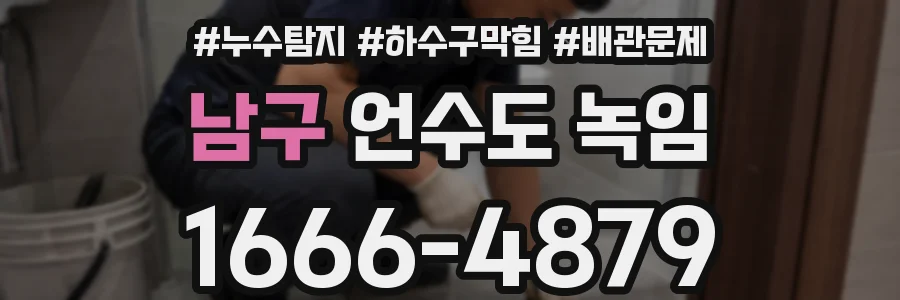 남구 언수도 녹임