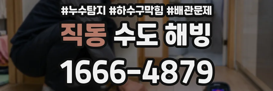 직동 수도 해빙