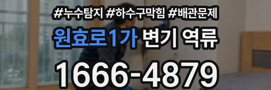 원효로1가 변기 역류