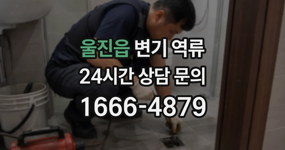 울진읍 변기 역류