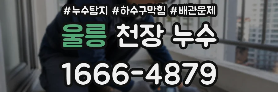 울릉 천장 누수