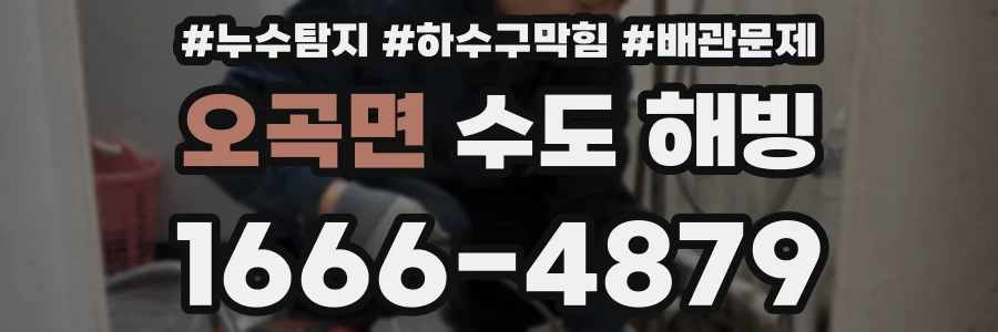 오곡면 수도 해빙