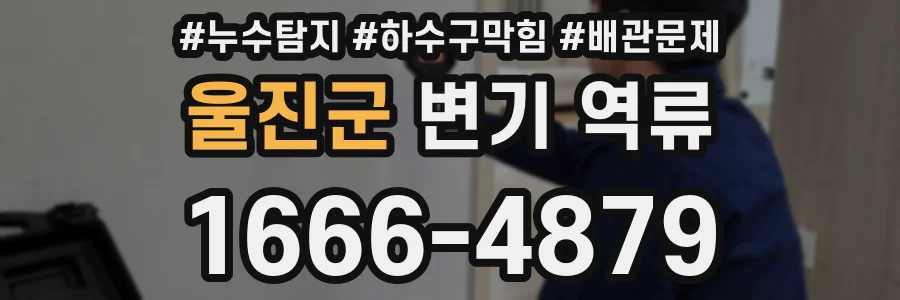 울진군 변기 역류