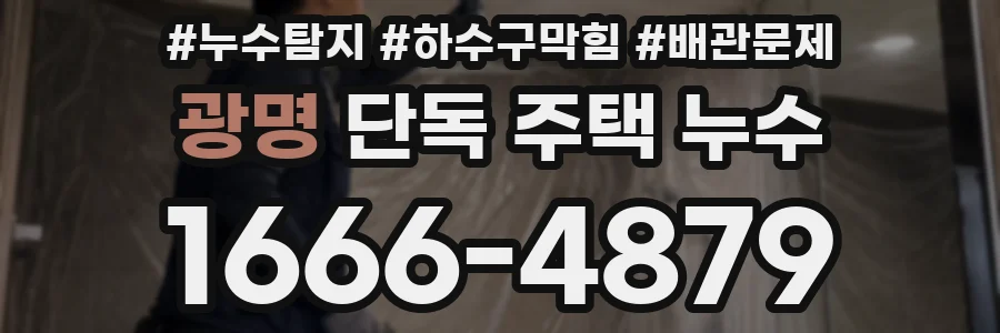 광명 단독 주택 누수