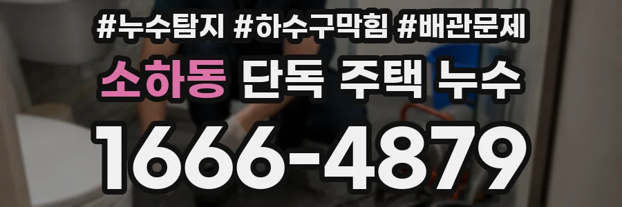 소하동 단독 주택 누수