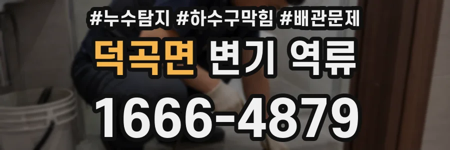 덕곡면 변기 역류