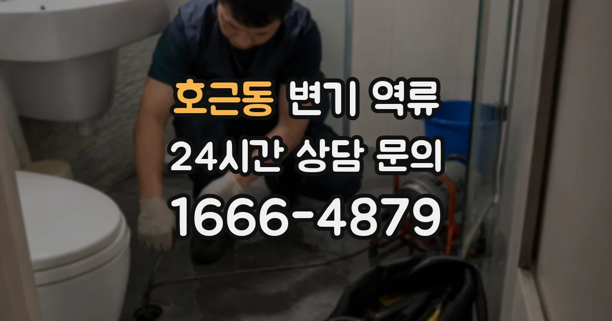 호근동 변기 역류