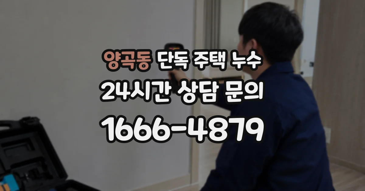 양곡동 단독 주택 누수