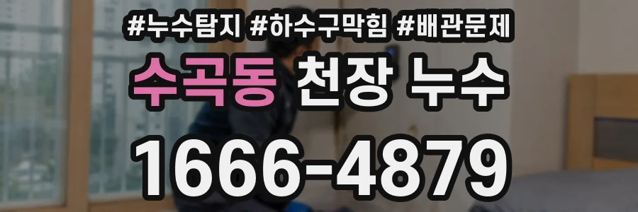 수곡동 천장 누수