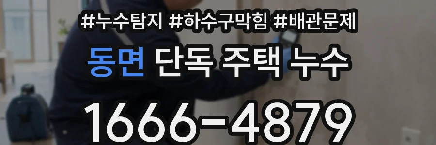 동면 단독 주택 누수