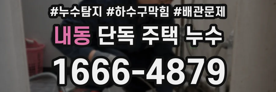 내동 단독 주택 누수