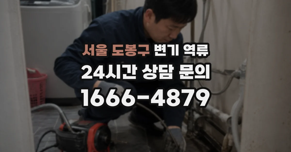 서울 도봉구 변기 역류