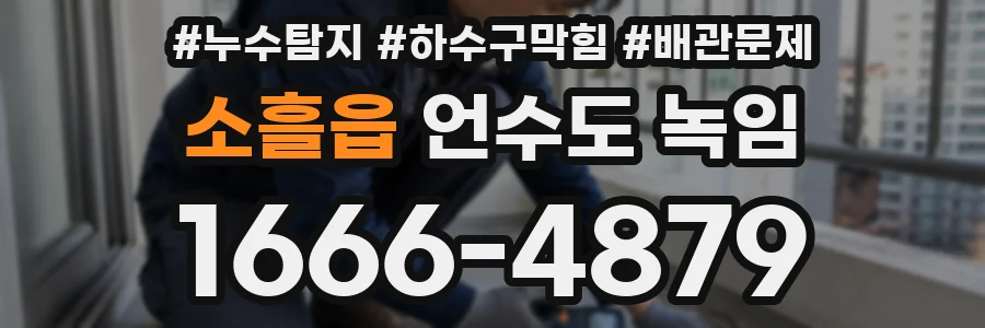 소흘읍 언수도 녹임