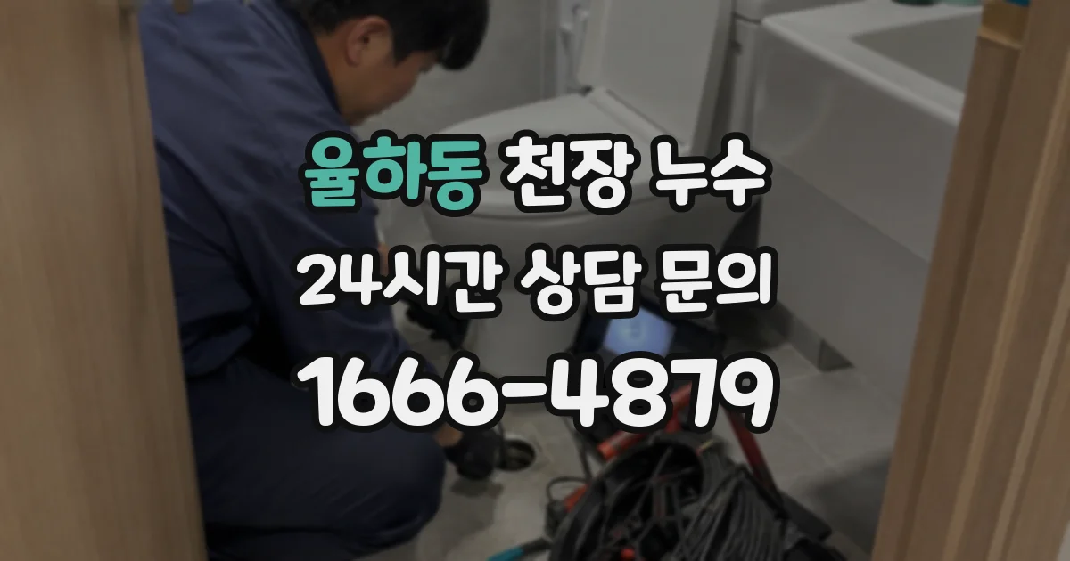 율하동 천장 누수