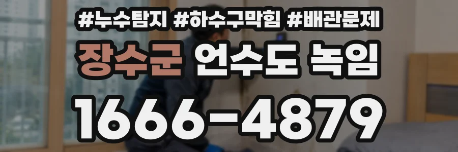 장수군 언수도 녹임