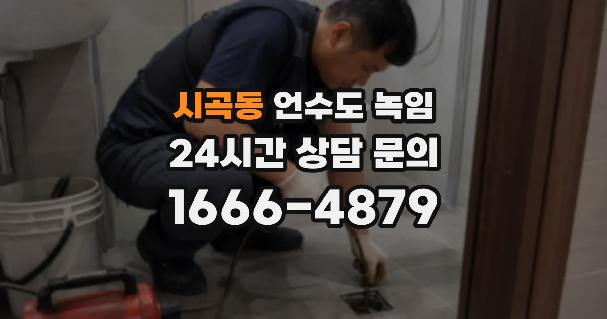 시곡동 언수도 녹임