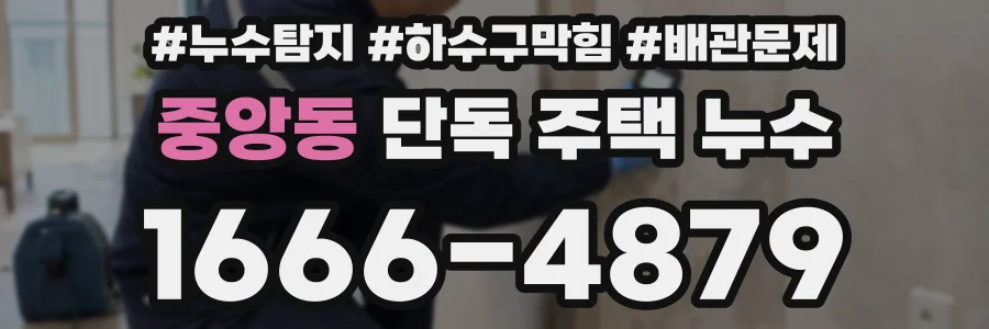 중앙동 단독 주택 누수