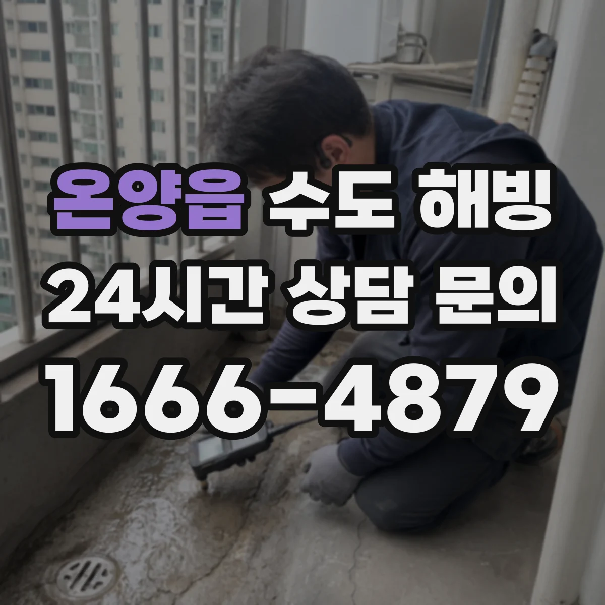 온양읍 수도 해빙
