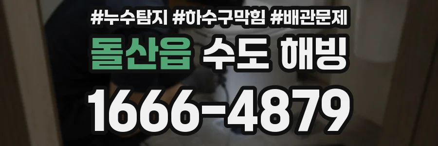 돌산읍 수도 해빙