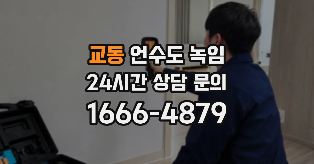 교동 언수도 녹임