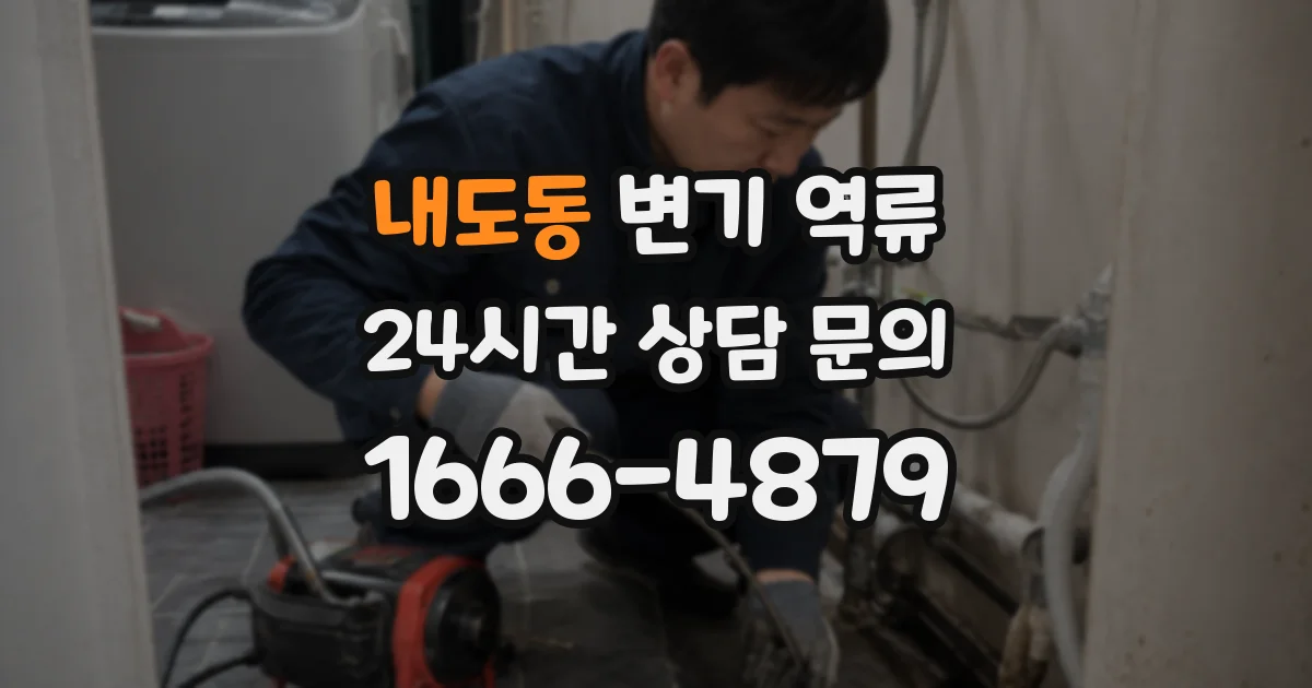 내도동 변기 역류
