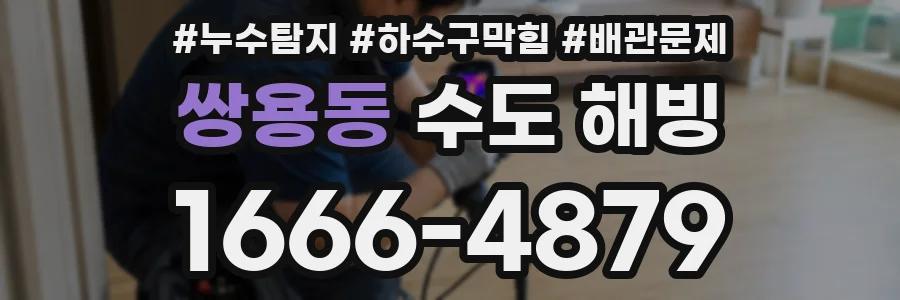 쌍용동 수도 해빙