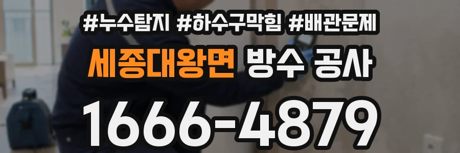 세종대왕면 방수 공사
