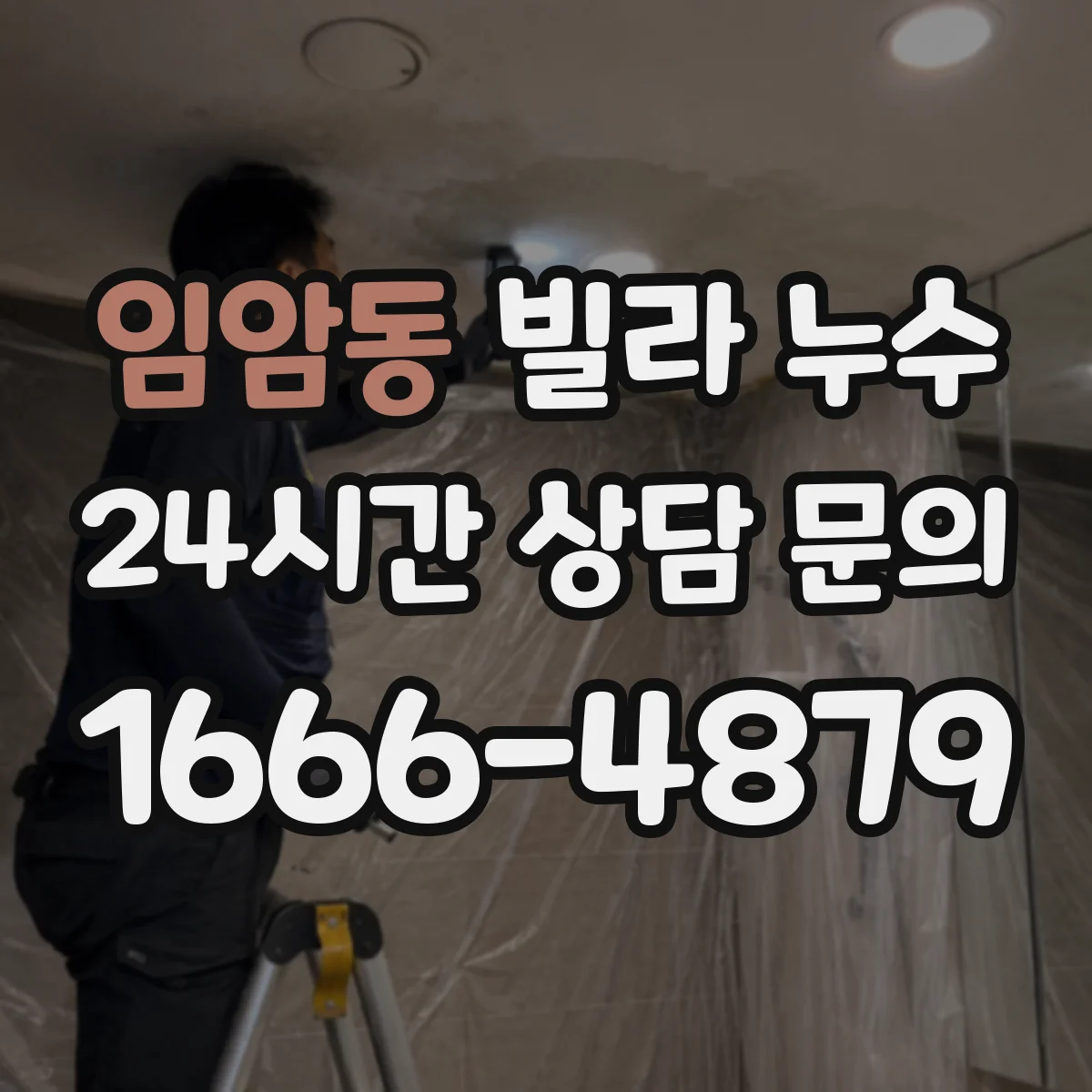 임암동 빌라 누수
