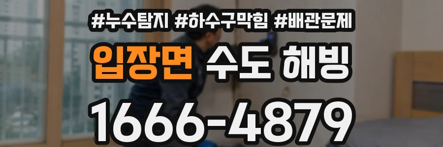 입장면 수도 해빙