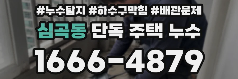 심곡동 단독 주택 누수
