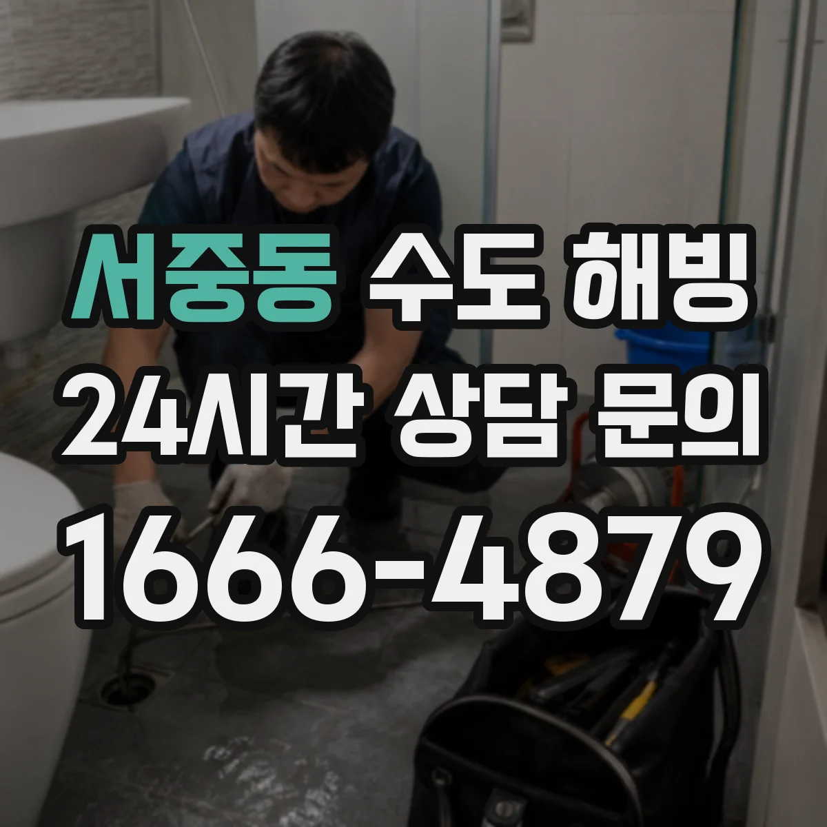 서중동 수도 해빙