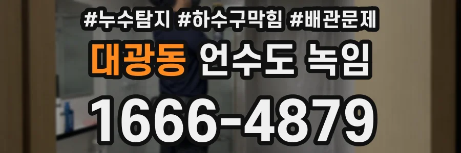 대광동 언수도 녹임