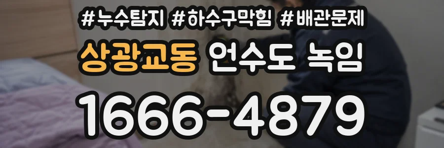 상광교동 언수도 녹임