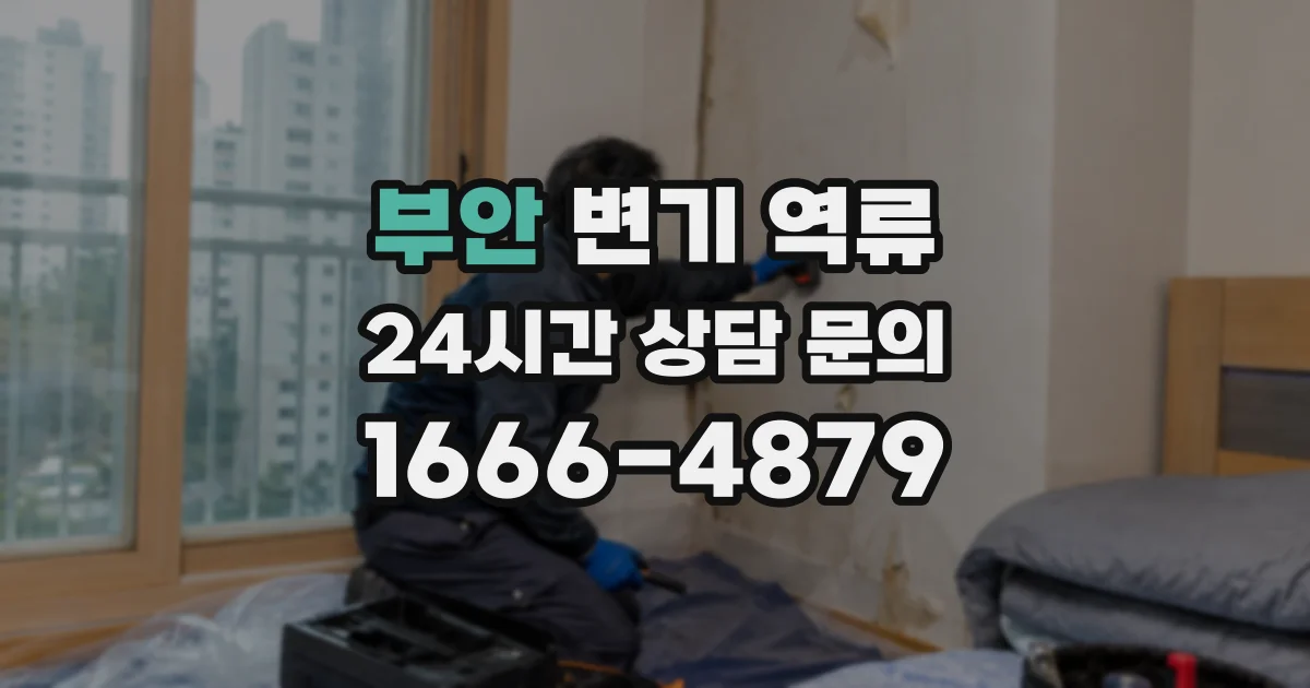 부안 변기 역류