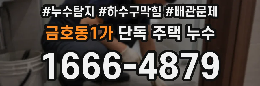 금호동1가 단독 주택 누수