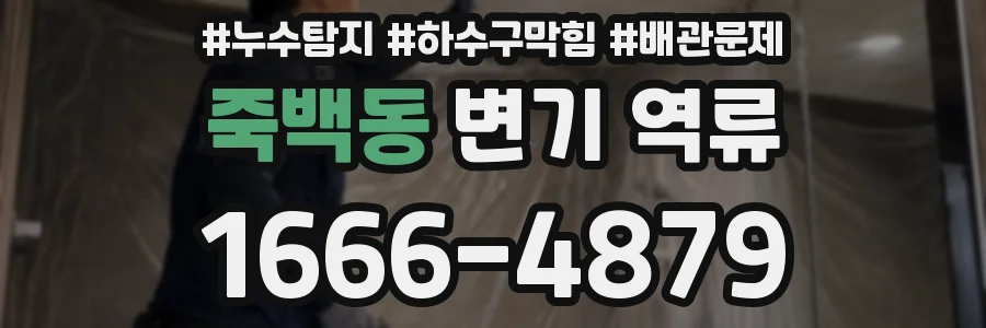 죽백동 변기 역류