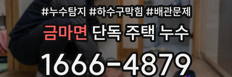 금마면 단독 주택 누수