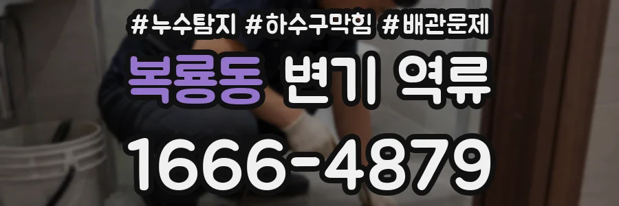 복룡동 변기 역류