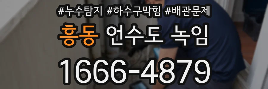 흥동 언수도 녹임