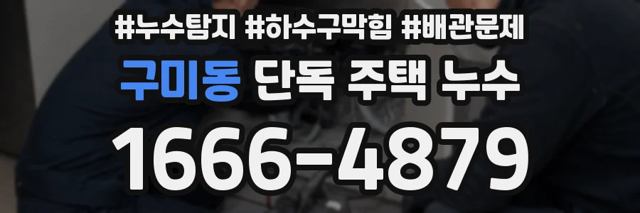 구미동 단독 주택 누수